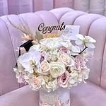 Caja Redonda Boho Graduación 6"