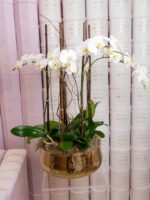 Orquídeas XL en Florero de Metal Dorado - Image 3