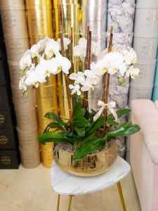 Orchids XL in Gold metal Vase - Image 2
