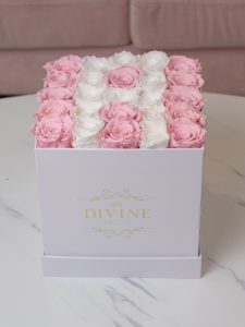 Initial Letter/number Preserved - Image 7