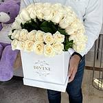 Arch of Roses Squared box