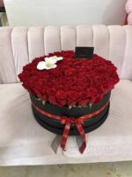 Nashalie XL - Image 3