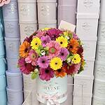 Daisy Gerberas Round Box