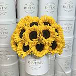 Caja Redonda Mediana de Girasoles