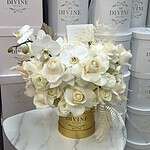 Celine Boho Medium Box