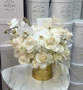 Celine Boho Medium Box