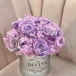 Danna Medium Preserved Mixed Flowers