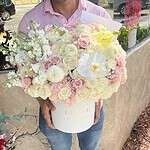 Caja Redonda Carolina