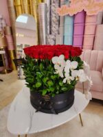 Rosas Wander XL - Image 2