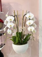 Orquídeas Swan en Florero de Cerámica - Image 2