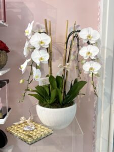 Swan Orchids in Ceramic Vase - Image 3