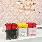 Mini Signature Box of 4 Fresh