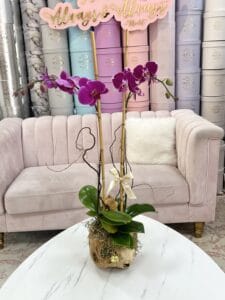 Orchid in Wooden Vase - Image 2