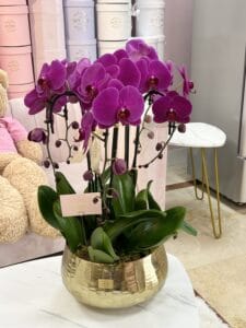 Swan Orchids in Medium Metal Vase - Image 2