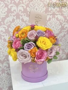 Carnival Medium Round Box