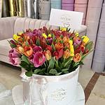 Tulipanes en Caja Grande