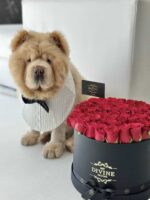 Jessica Grand Box - Image 6