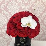 Michelle Medium Round