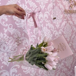 New Transparent Divine Bag CarryOn