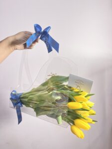 New Transparent Divine Bag CarryOn - Image 2