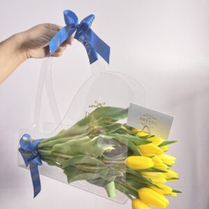 New Transparent Divine Bag CarryOn - Image 2