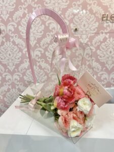 New Transparent Divine Bag CarryOn - Image 3