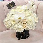 Caja Alondra Mediana