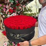 Nashalie XL Preserved Roses