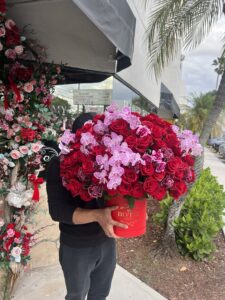 Roses & Phals - Image 2