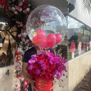 Sabrina Hat box and Balloon