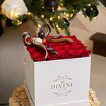 Caja Cuadrada con Rosas Preservadas Colección Navideña