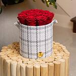 Caja Cuadriculada de Rosas Preservadas Jessica