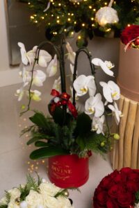 Merry Orchids in Divine Box - Image 2