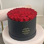 Preserved roses in Leather Box