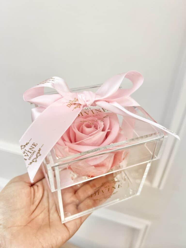 1 Large Preserved Rose (Choose color) - Image 3
