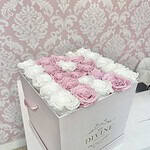 Initial Letter/number Preserved