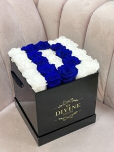 Initial Letter/number Preserved - Image 4