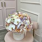 Coquette Spring Hatbox