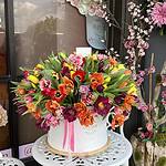 200 Tulips Grand Box