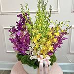 Orquídeas Frescas de Primavera - Image 2