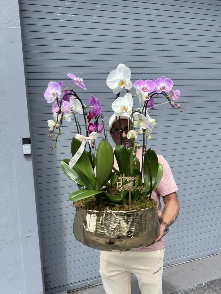 Orchids XL in Gold metal Vase
