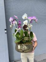 Orquídeas XL en Florero de Metal Dorado