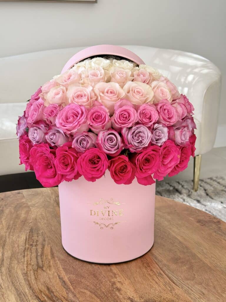 Taty Ombre Hatbox
