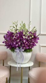 Orquídeas Frescas de Primavera