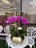 Orquídeas Swan en Jarrón de Metal Mediano