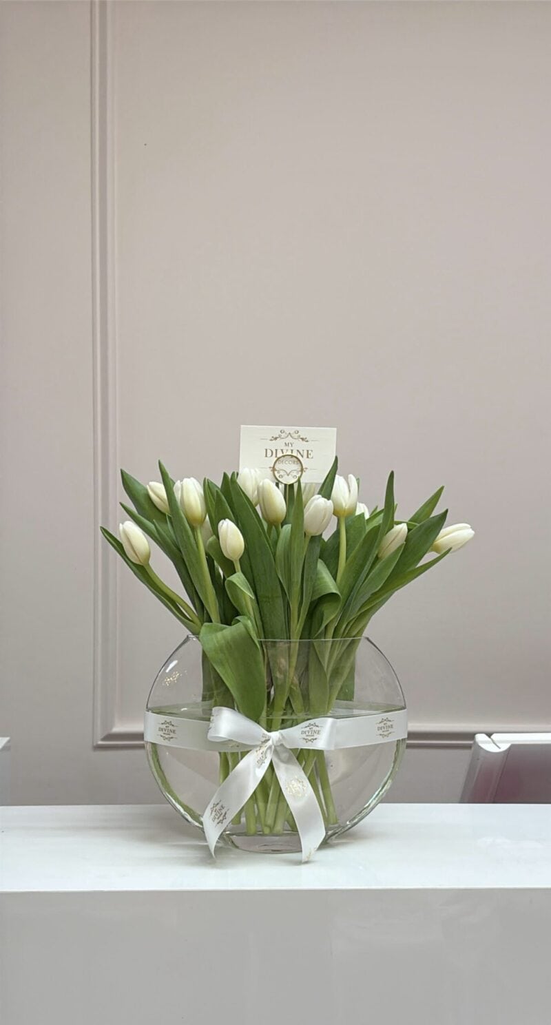 Fresh Tulips in Vase