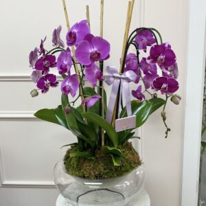 Floating Orchids in Glass Vase