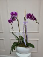 Double Orchid - Image 2