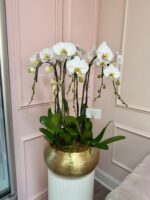 Swan Orchids in Medium Metal Vase - Image 3