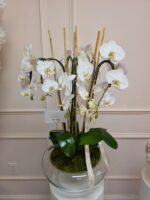 Floating Orchids in Glass Vase - Image 4